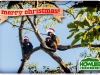xmas_20130106-mango-cama-_mg_0172-edit